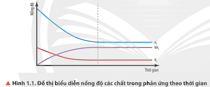 A diagram of a graph

Description automatically generated