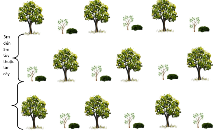 A group of trees with green leaves

Description automatically generated