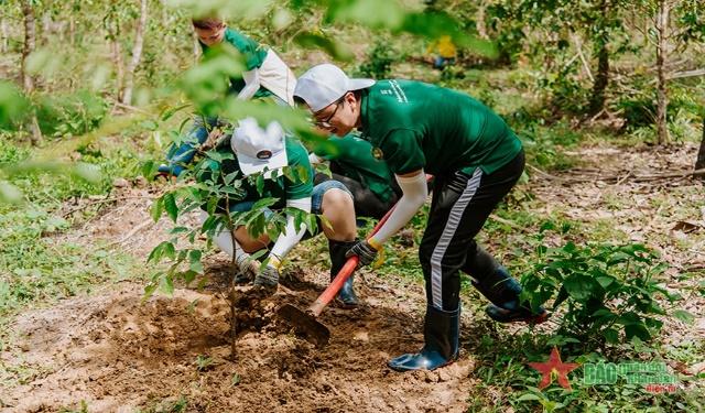 Trồng rừng để giảm tác động của biến đổi khí hậu tại Việt Nam