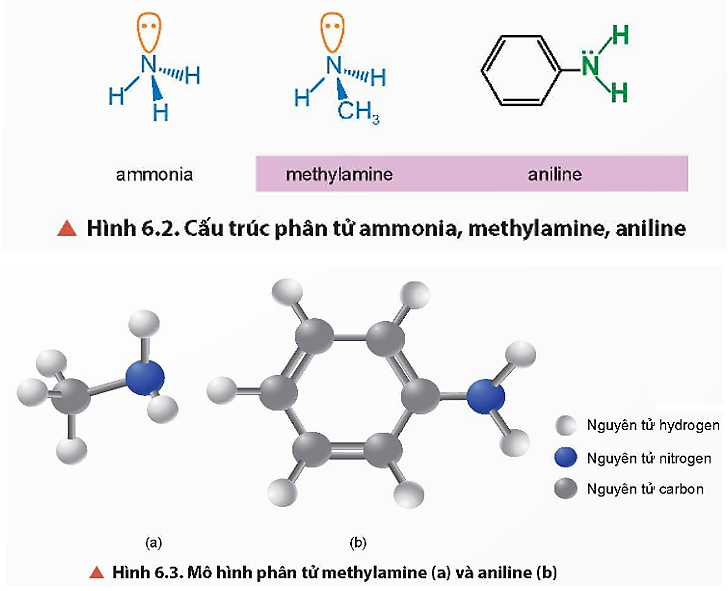 Quan sát Hình 6.2 và Hình 6.3, cho biết hình dạng phân tử của methylamine  và aniline.