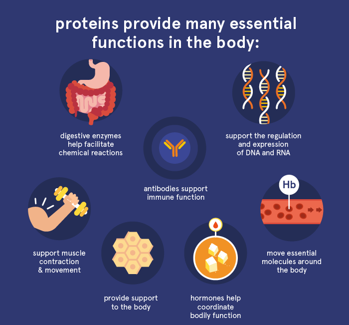 A diagram of body parts

Description automatically generated