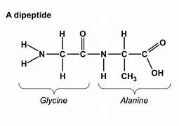 A diagram of a molecule

Description automatically generated