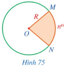 Hoạt động 5 trang 120 Toán 9 Tập 1 Cánh diều | Giải Toán 9