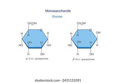 Monosaccharide" – 2.351 Ảnh, vector, đối tượng 3D và hình chụp có sẵn |  Shutterstock