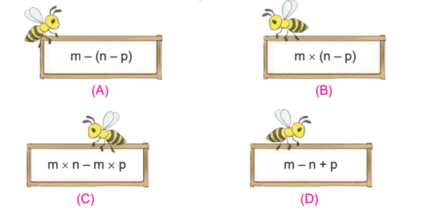 Toán lớp 4 Kết nối tri thức Bài 4: Biểu thức chứa chữ (trang 14) | Giải Toán lớp 4