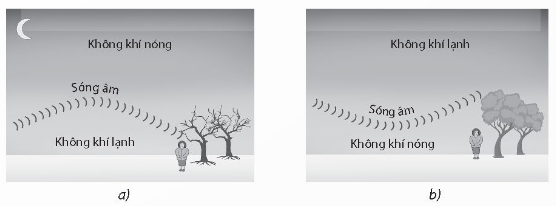 A comparison of trees and a person

Description automatically generated with medium confidence