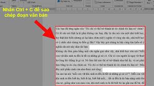 Cách sao chép 1 trang tài liệu trong Word nhanh, đơn giản -  Thegioididong.com