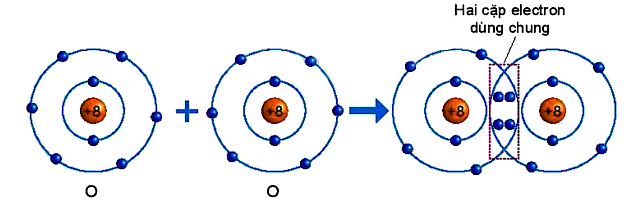 A diagram of a molecule

Description automatically generated