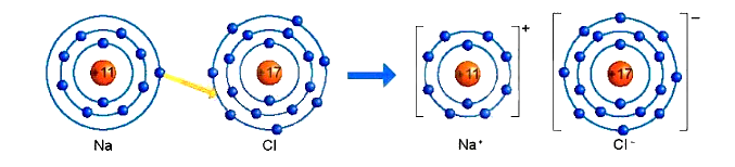 A diagram of a diagram of a circle

Description automatically generated