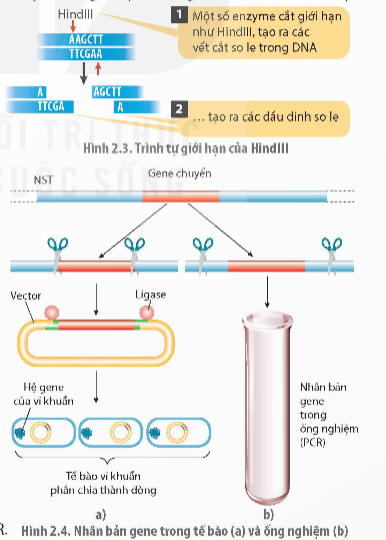 Ảnh có chứa văn bản, ảnh chụp màn hình, thiết kế

Mô tả được tạo tự động