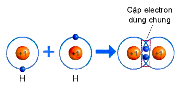 A diagram of a molecule

Description automatically generated