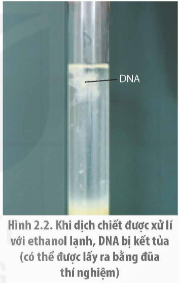 Ảnh có chứa văn bản, Thiết bị phòng thí nghiệm, Dung dịch, trong nhà

Mô tả được tạo tự động