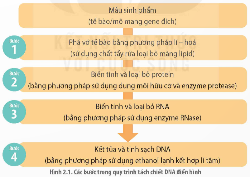 Ảnh có chứa văn bản, ảnh chụp màn hình, Phông chữ, số

Mô tả được tạo tự động