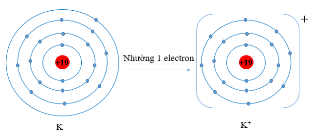 https://vietjack.com/hoa-hoc-10-cd/images/luyen-tap-2-trang-51-hoa-hoc-10.PNG