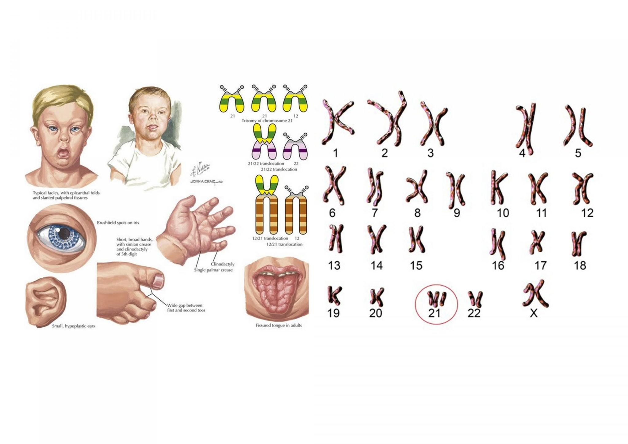 A baby's anatomy and body parts

Description automatically generated