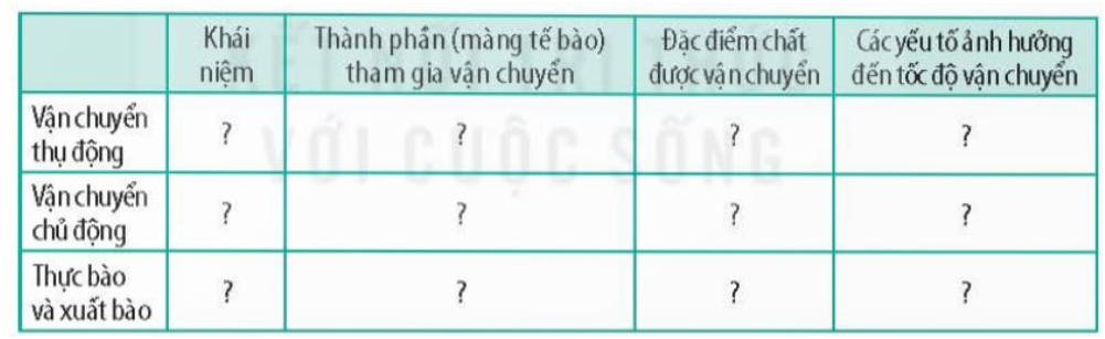 HOẠT ĐỘNG KHỞI ĐỘNGGV yêu cầu HS thảo luận và trả lời:Trao đổi chất qua màng tế bào là quá trình như thế nào?HOẠT ĐỘNG HÌNH THÀNH KIẾN THỨC