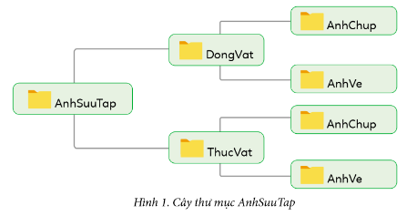 HOẠT ĐỘNG VẬN DỤNG