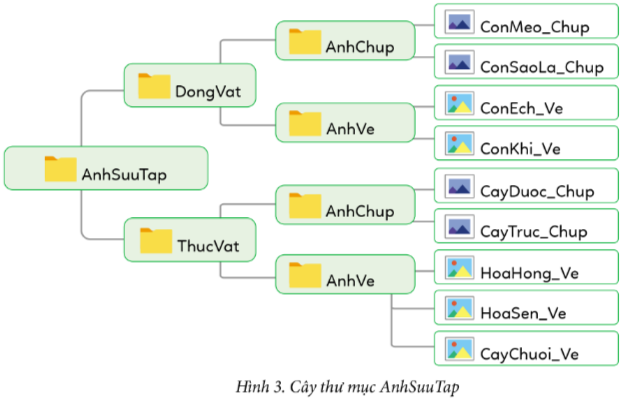 HOẠT ĐỘNG VẬN DỤNG