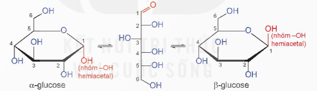 BÀI 4: GIỚI THIỆU VỀ CARBOHYDRATE. GLUCOSE VÀ FRUCTOSE