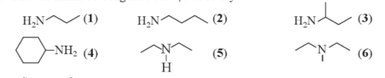 BÀI 8: AMINE