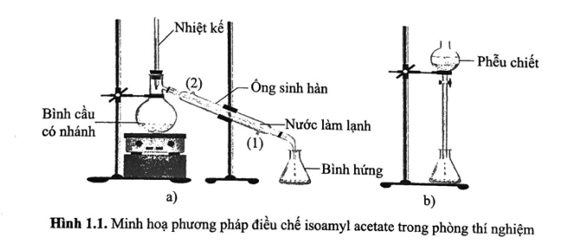 BÀI 1: ESTER – LIPID