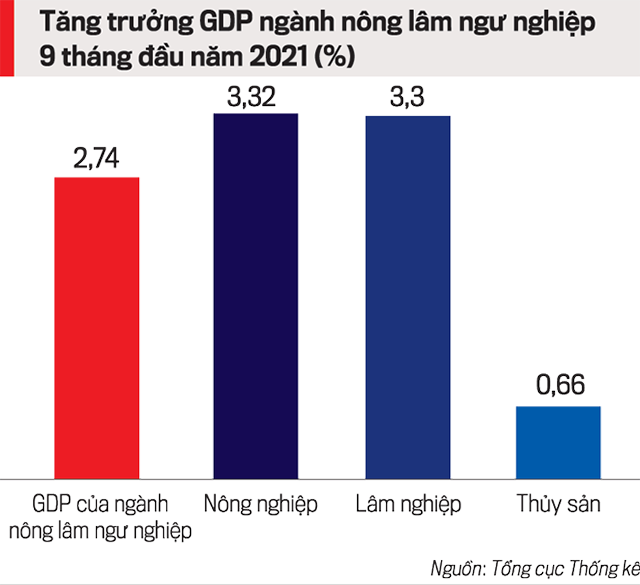 BÀI 14: TÌM HIỂU VAI TRÒ NGÀNH NÔNG NGHIỆP, LÂM NGHIỆP VÀ THUỶ SẢN; VẼ BIỂU ĐỒ VÀ NHẬN XÉT VỀ NGÀNH NÔNG NGHIỆP, LÂM NGHIỆP VÀ THUỶ SẢN