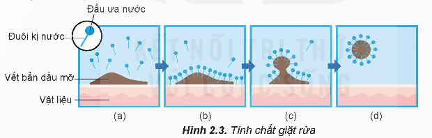 BÀI 2: XÀ PHÒNG VÀ CHẤT GIẶT RỬA