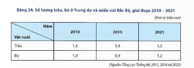 BÀI 24: KHAI THÁC THẾ MẠNH Ở TRUNG DU VÀ MIỀN NÚI BẮC BỘ Câu 1: Thế mạnh nào sau đây của trung du và miền núi Bắc Bộ có thể được khai thác để phát triển du lịch? lựa chọn đúng sai cho các đáp án dưới đâya.  Khí hậu ôn hòa, thích hợp cho các hoạt động du lịch biển.b. Cảnh quan thiên nhiên hùng vĩ với nhiều danh lam thắng cảnh, như thác Bản Giốc, hồ Ba Bể.c. Tài nguyên khoáng sản phong phú, thích hợp du lịch tự túcd. Nền văn hóa đa dạng với nhiều dân tộc thiểu số và các lễ hội truyền thống độc đáo.Đáp án:a) Saib)Đúngc) Said) Đúng Câu 2: Tại sao khai thác khoáng sản lại là một trong những hoạt động thương mại chủ yếu ở trung du và miền núi Bắc Bộ? lựa chọn đúng sai cho các đáp án dưới đâya.  Khu vực này có nhiều loại khoáng sản quý hiếm như thiếc, đồng, vàng.b. Điều kiện địa hình bằng phẳng và giao thông thuận tiện giúp dễ dàng khai thác và vận chuyển khoáng sản.c. Hoạt động khai thác khoáng sản không gây ảnh hưởng đáng kể đến môi trường và cộng đồng địa phương.d. Khoáng sản là nguồn tài nguyên chiến lược, mang lại nguồn thu lớn cho khu vực.Đáp án:  Câu 3: Thách thức lớn trong việc phát triển du lịch tại trung du và miền núi Bắc Bộ là gì? lựa chọn đúng sai cho các đáp án dưới đâya. Thiếu hạ tầng giao thông và cơ sở lưu trú hiện đại, hạn chế khả năng tiếp cận của du khách.b. Số lượng danh lam thắng cảnh hạn chế và ít được biết đến.c. Khí hậu khắc nghiệt và biến đổi thời tiết ảnh hưởng đến các hoạt động du lịch.d. Sự cạnh tranh mạnh mẽ từ các khu du lịch biển và đô thị lớn trong nước.Đáp án:  Câu 4: Tại sao phát triển nông nghiệp kết hợp với du lịch là một hướng đi tiềm năng ở trung du và miền núi Bắc Bộ? lựa chọn đúng sai cho các đáp án dưới đâya. Khu vực này có nhiều đồng bằng rộng lớn, thích hợp cho canh tác nông nghiệp quy mô lớn.b. Nông sản đặc sản và các sản phẩm truyền thống của địa phương có thể thu hút khách du lịch và tạo ra nguồn thu ổn định.c. Các hoạt động du lịch nông nghiệp giúp bảo tồn và phát huy giá trị văn hóa bản địa.d. Nông nghiệp ở khu vực này chủ yếu tự cung tự cấp, không đủ để phát triển thương mại du lịch.Đáp án:  Câu 5: Dựa vào biểu đồ sau, cho biết Nguyên nhân nào có thể giải thích cho sự giảm sút của đàn trâu trong giai đoạn trên?  lựa chọn đúng sai cho các đáp án dưới đâya. Thay đổi cơ cấu cây trồng, giảm diện tích đồng cỏ.b. Nhu cầu thịt bò tăng cao, người dân chuyển sang nuôi bò.c. Sự già đi của đàn trâu và hạn chế về tái sản.d. Khí hậu Việt Nam không thích hợp để nuôi trâuĐáp án:  Câu 6: Yếu tố nào sau đây là thách thức đối với việc khai thác du lịch cộng đồng tại trung du và miền núi Bắc Bộ? lựa chọn đúng sai cho các đáp án dưới đâya. Địa hình phức tạp và giao thông khó khăn gây trở ngại cho việc phát triển cơ sở hạ tầng du lịch.b. Sự thiếu hụt lao động lành nghề và hướng dẫn viên du lịch chuyên nghiệp.c. Sự đồng nhất về văn hóa và phong tục tập quán giữa các cộng đồng địa phương làm giảm tính hấp dẫn của du lịch.d. Áp lực từ việc phát triển du lịch có thể làm mất đi bản sắc văn hóa và gây ô nhiễm môi trường.Đáp án:  