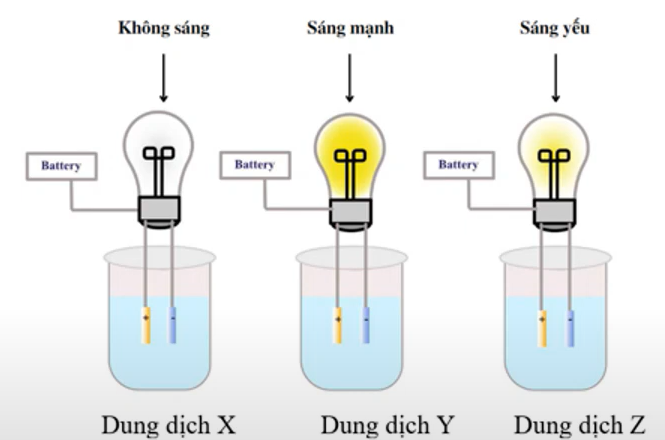 BÀI 2: SỰ ĐIỆN LI TRONG DUNG DỊCH NƯỚC. THUYẾT BRONSTED – LOWRY VỀ ACID – BASE