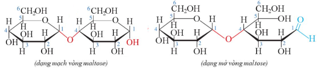 BÀI 3: GIỚI THIỆU VỀ CARBOHYDRATE