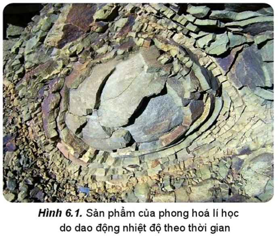 BÀI 7: NGOẠI LỰC