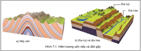 BÀI 7: NỘI LỰC VÀ NGOẠI LỰC