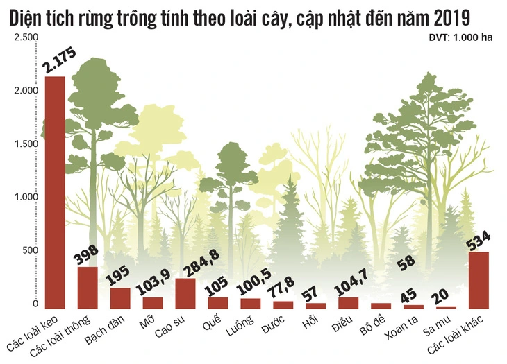 BÀI 4: QUY LUẬT SINH TRƯỞNG VÀ PHÁT TRIỂN CỦA CÂY RỪNG.(17 CÂU)