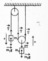 BÀI 17 TRỌNG LỰC VÀ LỰC CĂNG