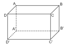 PHIẾU HỌC TẬP 1BÀI 1. HÌNH HỘP CHỮ NHẬT – HÌNH LẬP PHƯƠNGCâu 1. Hình nào dưới đây là hình hộp chữ nhật?Bài 2. Cho hình hộp chữ nhật ABCD.A’B’C’D’ có AD = 6cm và DD’ = 8cm. Tính BC’?..................................................................................................................................................................................................................................................................................Bài 3. Cho hình lập phương ABCD.MNPQ có độ dài cạnh là 3cm. Tính tổng diện tích các mặt của hình lập phương?..................................................................................................................................................................................................................................................................................Bài 4. Trong hình hộp chữ nhật ABCD.A’B’C’D’. Đường chéo là:..................................................................................................................................................................................................................................................................................PHIẾU HỌC TẬP 2