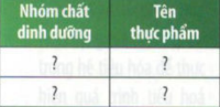 PHIẾU HỌC TẬP 1BÀI 29: Dinh dưỡng và an toàn vệ sinh thực phẩm  1. Kể tên một số loại thực phẩm cung cấp các nhóm chất dinh dưỡng cho cơ thể bằng cách hoàn thành bảng theo mẫu........................................................................................................................ ........................................................................................................................ ........................................................................................................................ 2.  Dựa vào thông tin và hình 33.1, nêu mối quan hệ giữa tiêu hóa và dinh dưỡng..................................... .................................................................................. ........................................................................................................................ ........................................................................................................................ ........................................................................................................................ 3.   Điều gì sẽ xảy ra nếu như cơ thể của chúng ta thiếu các nhóm chất dinh dưỡng? Cho ví dụ ........................................................................................................................ ........................................................................................................................ ........................................................................................................................ ........................................................................................................................ 4.  Cho các ví dụ chứng minh khi lập khẩu phần cần thực hiện nguyên tắc đủ chất, đủ năng lượng........................................................................................................................ ........................................................................................................................                    PHIẾU HỌC TẬP 2