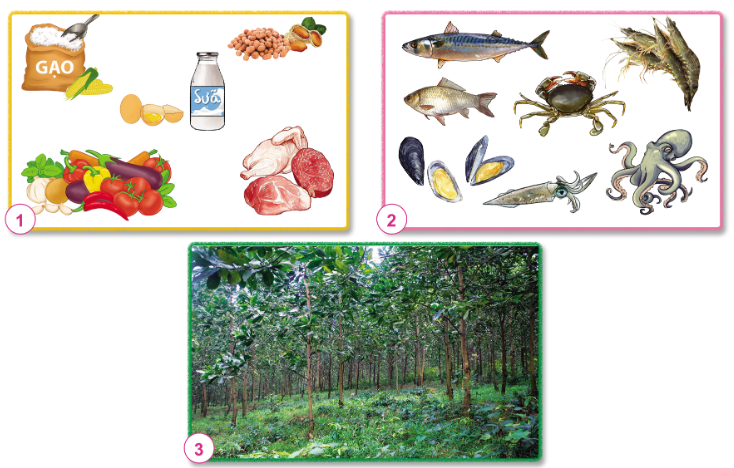 PHIẾU HỌC TẬP 1BÀI 9: HOẠT ĐỘNG SẢN XUẤT NÔNG NGHIỆP1. Kể tên các hoạt động trong hình và cho biết những hoạt động đó mang lại lợi ích gì?......................................................................................................................................................................................................................................................................................................................................................................................................................................................................................................................................................................................................................................................................................................................................................................................................................................................2 Hãy kể tên một số hoạt động sản xuất nông nghiệp khác mà em biết?...........................................................................................................................................................................................................................................................................................................................................................................................................................3. Hãy kể tên những sản phẩm của hoạt động sản xuất nông nghiệp trong hình dưới đây?.............................................................................................................................................................................................................................................................................................................................................................................................................................................................................................................................................................................................................................................................................................................4. Những sản phẩm nông nghiệp ấy đóng vai trò như thế nào trong cuộc sống con người?........................................................................................................................................................................................................................................................................................................................................................................................................................…......................................................................................................................................…PHIẾU HỌC TẬP 2