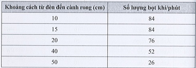 BÀI 20: THỰC HÀNH VỀ QUANG HỢP Ở CÂY XANH