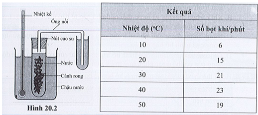 BÀI 20: THỰC HÀNH VỀ QUANG HỢP Ở CÂY XANH