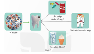 BÀI 20: VI KHUẨN GÂY BỆNH Ở NGƯỜI VÀ CÁCH PHÒNG TRÁNH(2 tiết)