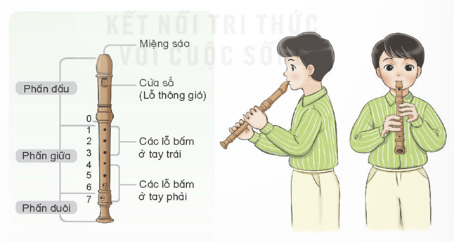 TIẾT 6: ÔN BÀI HÁT: CHIM SÁO. NHẠC CỤ: THỂ HIỆN NHẠC CỤ GÕ, NHẠC CỤ GIAI ĐIỆU