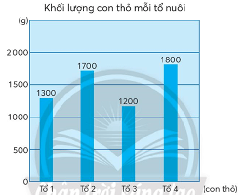 HOẠT ĐỘNG VẬN DỤNG