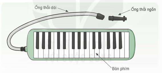 TIẾT 6: ÔN BÀI HÁT: CHIM SÁO. NHẠC CỤ: THỂ HIỆN NHẠC CỤ GÕ, NHẠC CỤ GIAI ĐIỆU