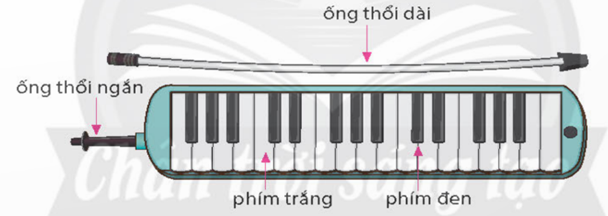 TIẾT 2: NHẠC CỤ: NHẠC CỤ TIẾT TẤU – NHẠC CỤ GIAI ĐIỆU 