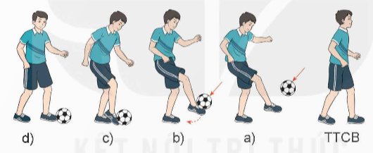 BÀI 2: KĨ THUẬT DỪNG BÓNG BỔNGBẰNG MU GIỮA BÀN CHÂN