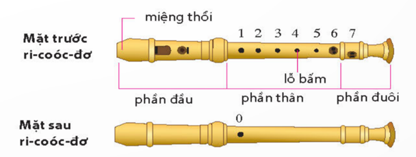 TIẾT 2: NHẠC CỤ: NHẠC CỤ TIẾT TẤU – NHẠC CỤ GIAI ĐIỆU 