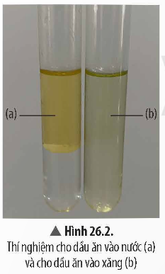 CHỦ ĐỀ 9: LIPID. CARBOHYDRATE. PROTEIN. POLYMER