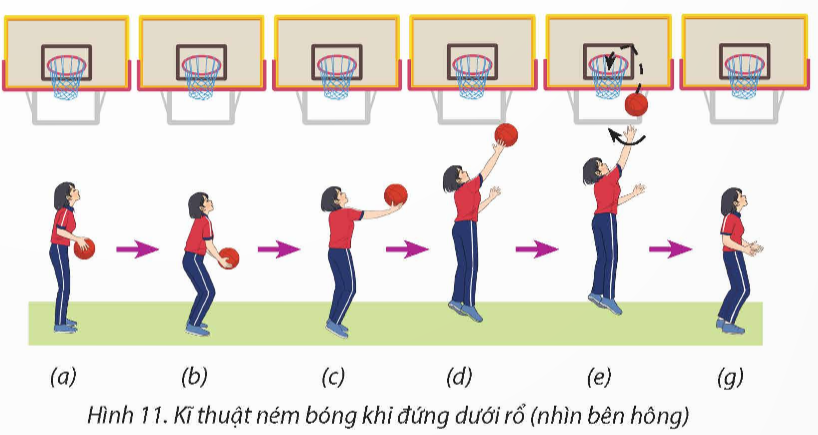 BÀI 2: KĨ THUẬT NÉM BÓNG KHI ĐỨNG DƯỚI RỔ