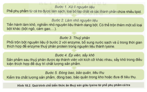 BÀI 18: ỨNG DỤNG CÔNG NGHỆ SINH HỌC TRONG BẢO QUẢN,  CHẾ BIẾN THỨC ĂN THỦY SẢN