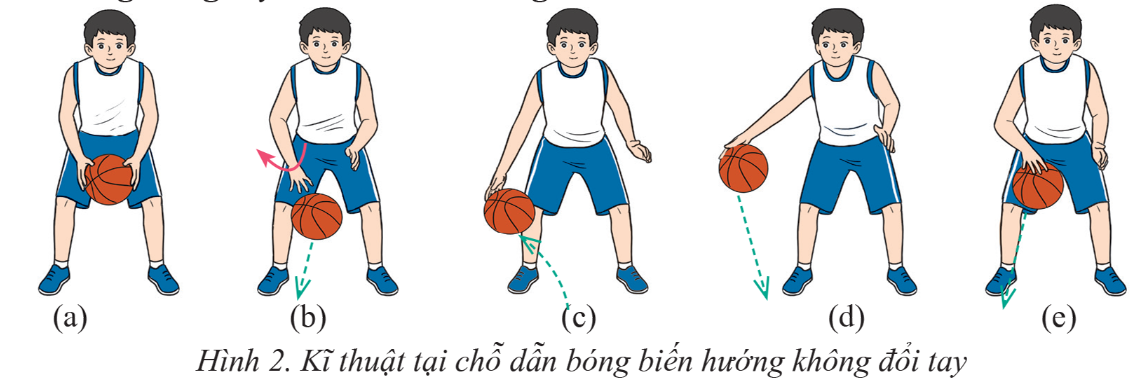 PHẦN BA: THỂ THAO TỰ CHỌNCHỦ ĐỀ 1: BÓNG RỔ